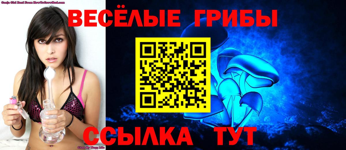 Каспийск  Псилоцибиновые грибы прущие грибы  Вход с VPN 